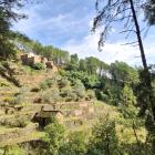 Les terrasses dites 